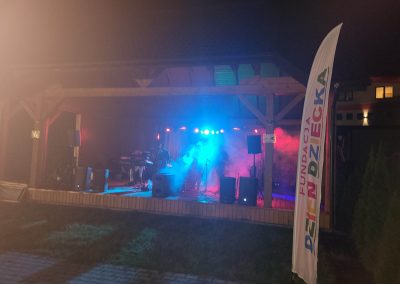 koncert zespołu muzycznego